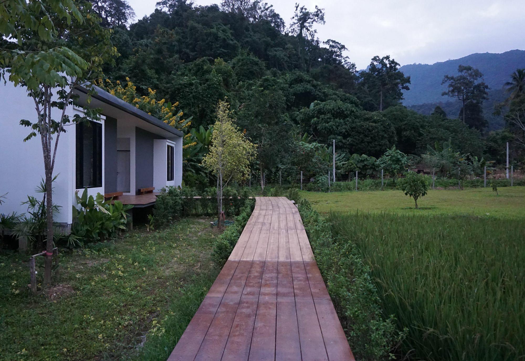 Villa De View Chiang Dao Bagian luar foto